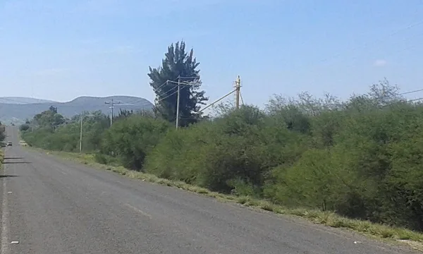Hectáreas en Venta en carretera Bernal a Toliman