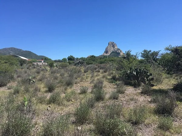 Hectáreas en Venta en Bernal en Municipio de Ezequiel Montes, Querétaro