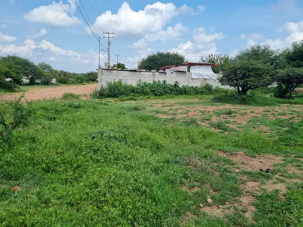 VENTA DE TERRENO EN COLONIA LA FUENTE EN TEQUISQUIAPAN QRO.