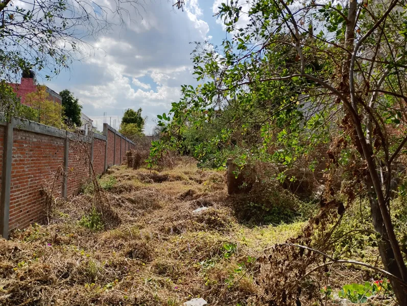 VENTA DE TERRENO EN COLONIA CENTRO EN TEQUISQUIAPAN QRO -86