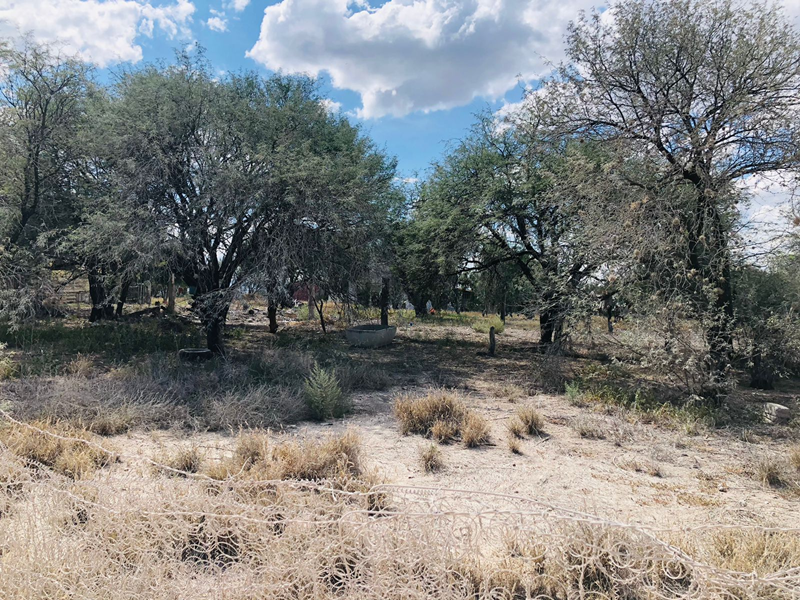 TERRENO EN VENTA EN COLONIA EL SABINO, BARRIO DE LA MAGDALENA EN TEQUISQUIAPAN QRO. TX-2700